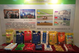 粮油盛会，智赢未来——记我司成功参展第十四届中国国际粮油产品及设备技术展示交易会